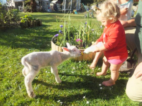 Little Paradise & Petting Farm, Greymouth